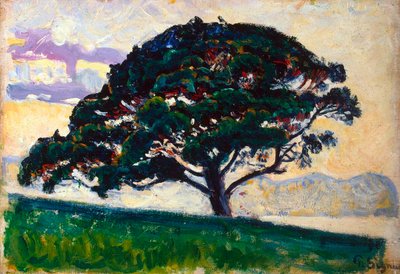 Large Pine, Saint-Tropez, 1892-1893 by Paul Signac