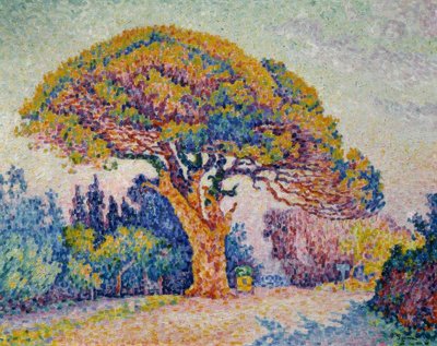 Signac, Pine of Bertaud by Paul Signac
