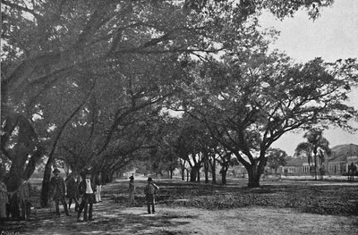 Avenida de Tiradentes, 1895 by Paulo Kowalsky