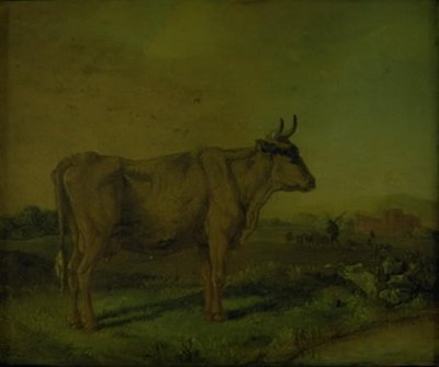 A Cow by Paulus Potter