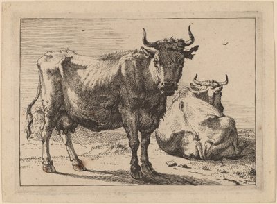 A Cow Standing and Another Lying Down by Paulus Potter