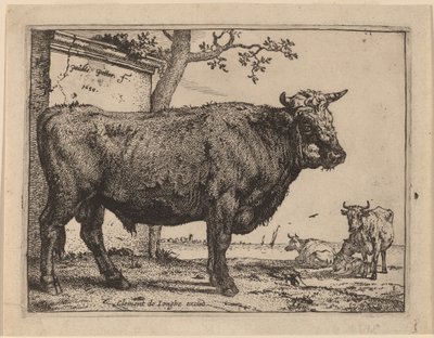 Bull by Paulus Potter