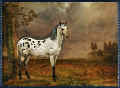 The Spotted Horse by Paulus Potter