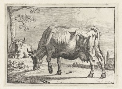 Grazing Cow by Paulus Potter