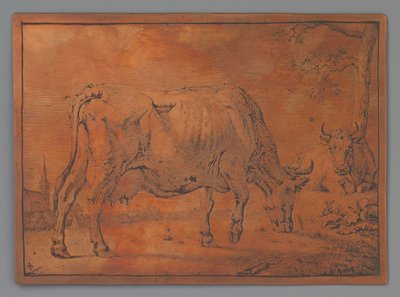 Grazing Cow by Paulus Potter