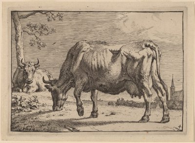 Grazing Cow by Paulus Potter