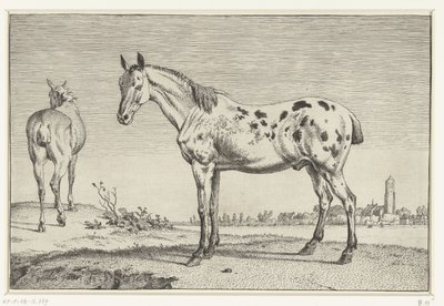 The Cropped Horse by Paulus Potter