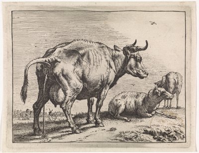 Pissing Cow
The Bull Book (series title) by Paulus Potter