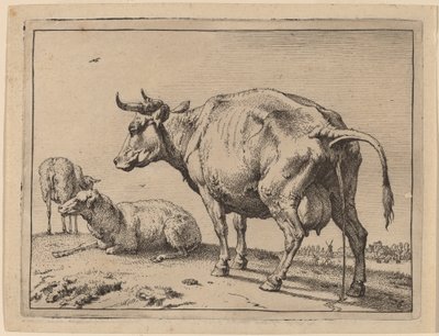 Pissing Cow by Paulus Potter