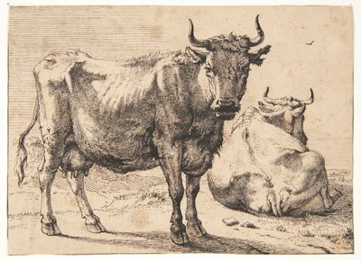 Standing and Lying Cow by Paulus Potter