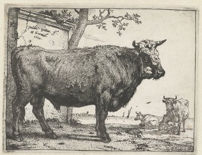 Bull (The Bull Book) by Paulus Potter