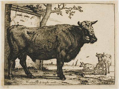 The Bull by Paulus Potter