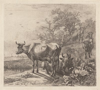 The Cowherd by Paulus Potter