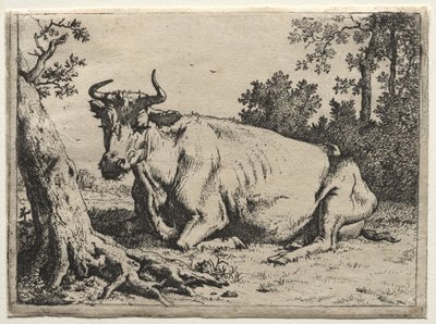 The Cow Lying Down Near a Tree by Paulus Potter