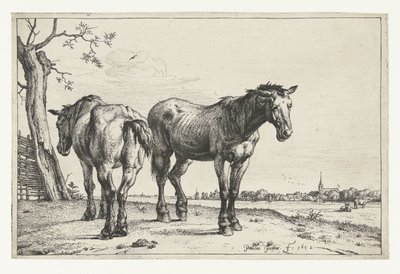 Two Plow Horses by Paulus Potter