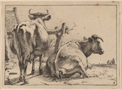 Two Cows Seen from Behind by Paulus Potter