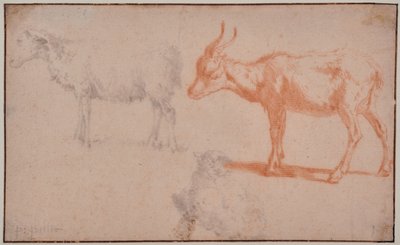 Two Sheep and a Goat by Paulus Potter