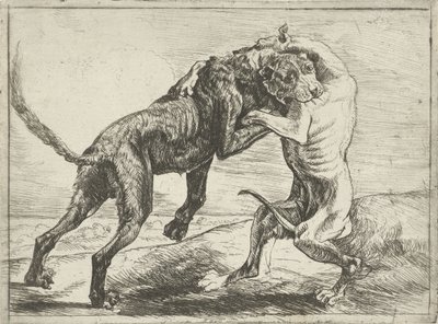 Two Fighting Dogs (Dogs) by Pauwels van Hillegaert