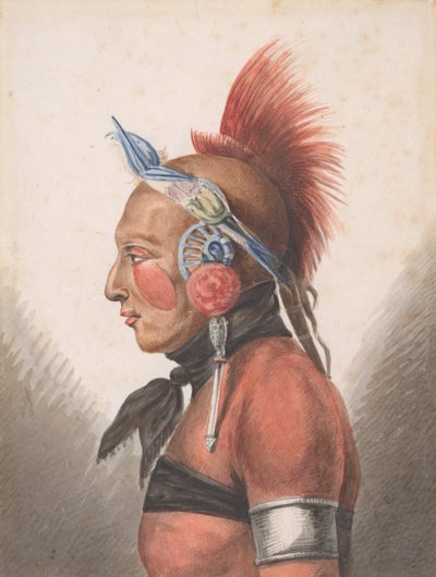 An Osage Warrior by Pavel Petrovic Svin
