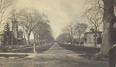 Hillhouse Avenue, 19th century by Peck Brothers