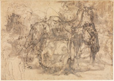 Sketches of Animals (verso) by Perino del Vaga