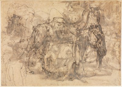 Sketches of Animals verso by Perino del Vaga