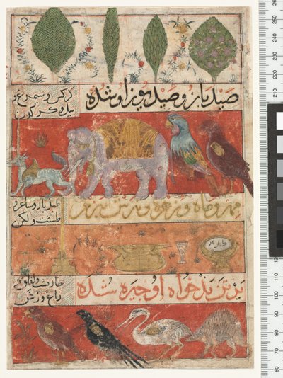 Animals, Birds and Plants by Persian School