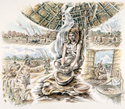 Neolithic Grain Production, c. 1990-2010 by Peter Dunn