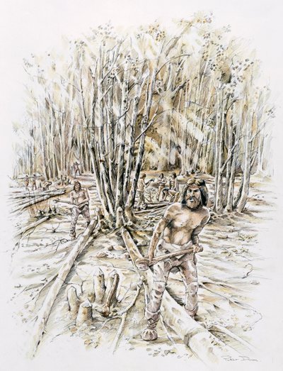 Uses of Flint - Coppicing by Peter Dunn