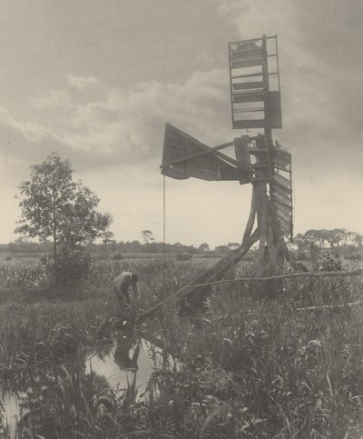 A Ruined Water-Mill by Peter Henry Emerson
