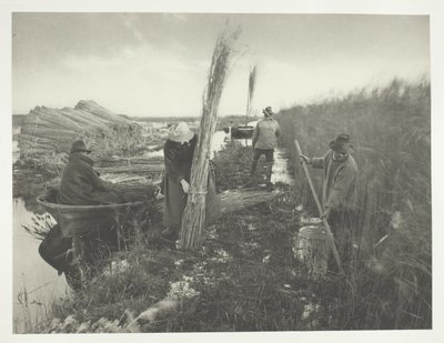 During the Reed Harvest by Peter Henry Emerson
