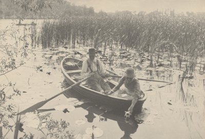 Gathering Water-Lilies by Peter Henry Emerson