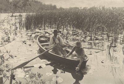 Gathering Water-Lilies by Peter Henry Emerson
