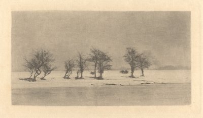 Gnarled-Thorn Trees by Peter Henry Emerson