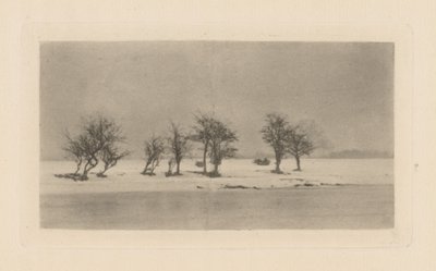 Gnarled Thorn Trees by Peter Henry Emerson