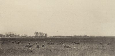 Marshes by the North Sea by Peter Henry Emerson