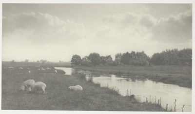 On the River Bure by Peter Henry Emerson