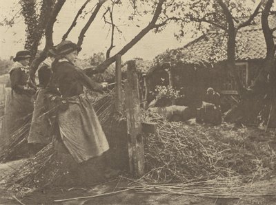 Osier-Peeling. Norfolk. by Peter Henry Emerson