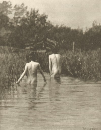 Water-Babies by Peter Henry Emerson