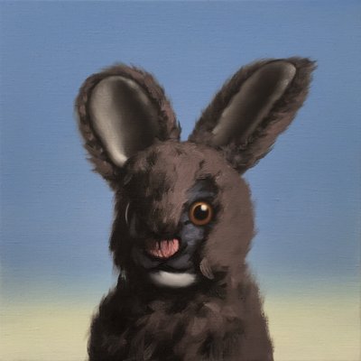 Bunny by Peter Jones