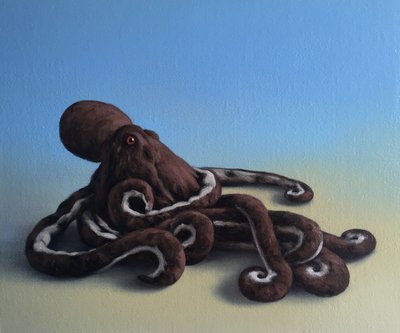 Octopus by Peter Jones