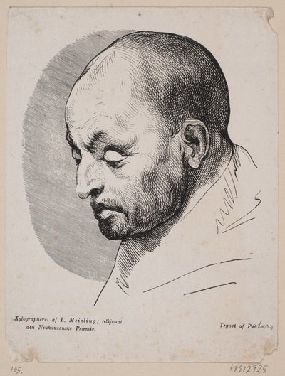 Head of a Bald Man by Peter Ludvig Meisling
