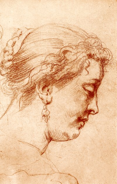 Female Profile Head by Peter Paul Rubens