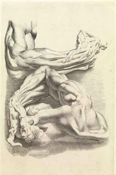 Muscles by Peter Paul Rubens