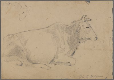 Seated Bull by Philip H. Wolfrom