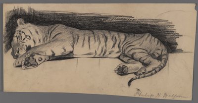 Sleeping Tiger by Philip H. Wolfrom