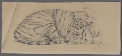Sleeping Tiger by Philip H. Wolfrom
