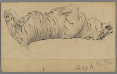 Sleeping tiger by Philip H. Wolfrom
