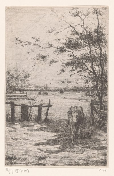 Cow Being Milked in a Meadow by Philip Zilcken