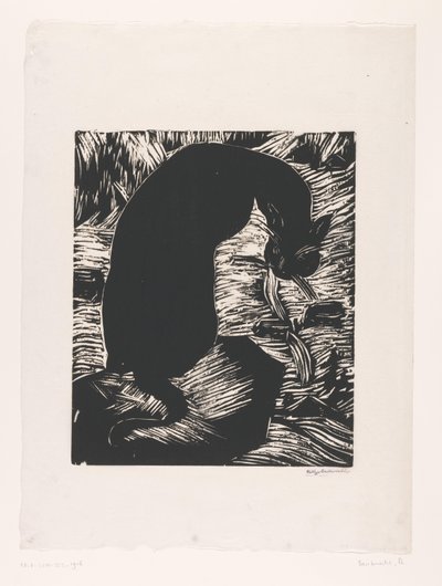 Black Cat Looking Over Its Shoulder by Philipp Bauknecht